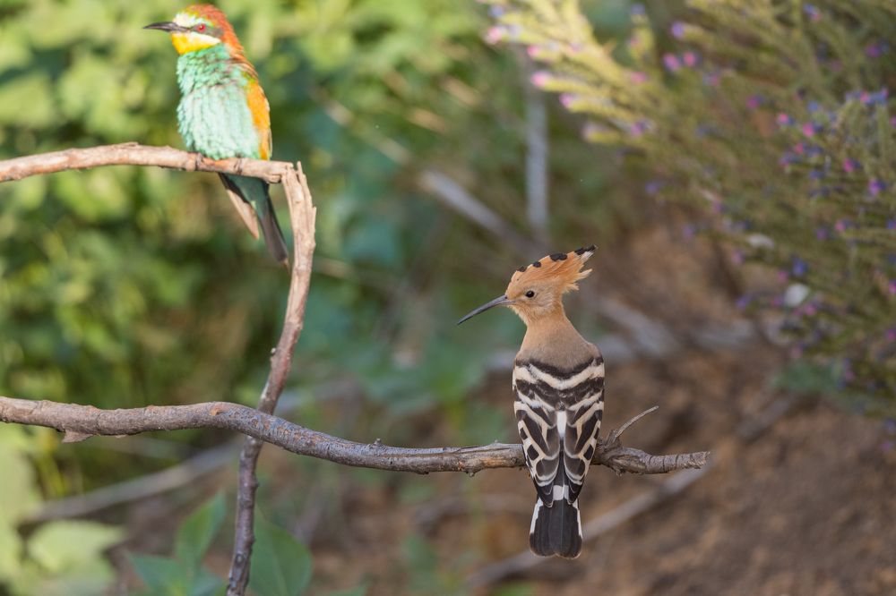 Photograph by Антон Мостовенко