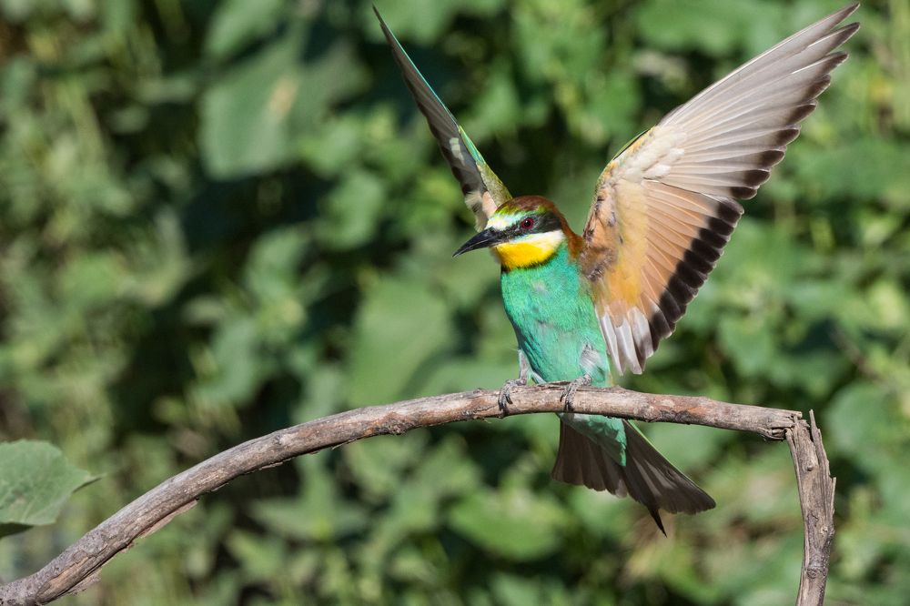 Photograph by Антон Мостовенко