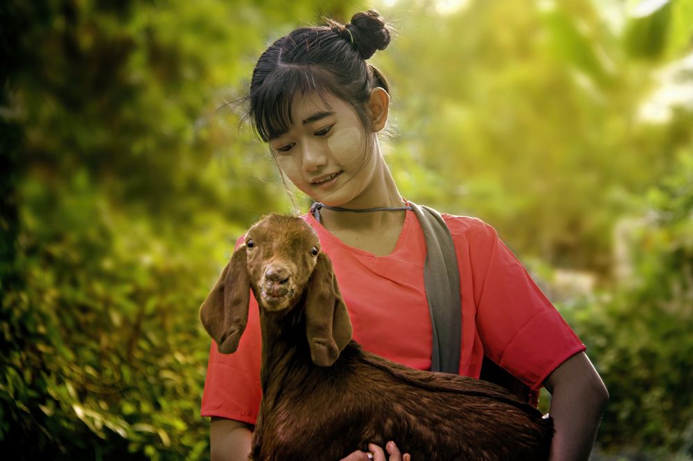 young girl and goat