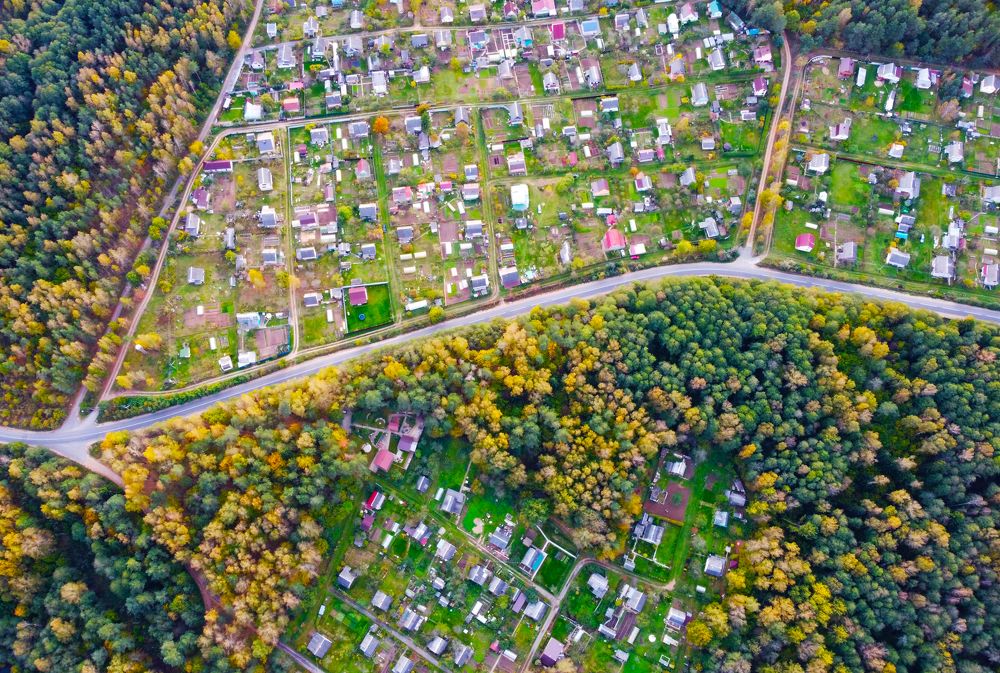 Сельская зарисовка