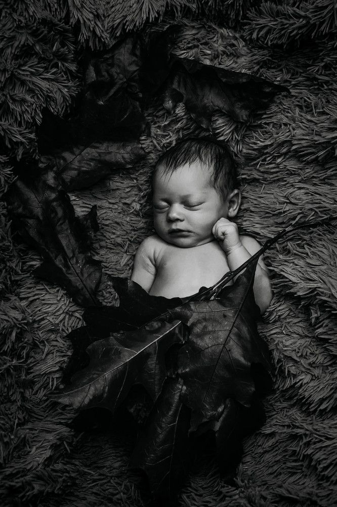 Photograph by Евгения Приймак