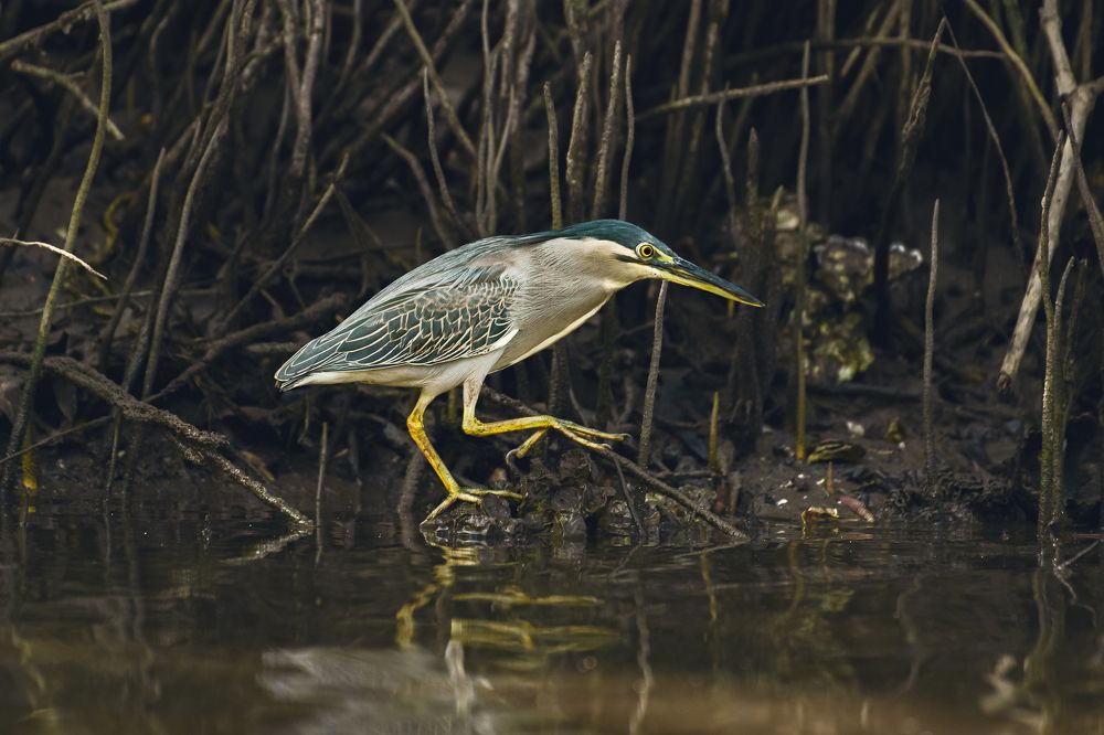 Photograph by Neeraj Gade