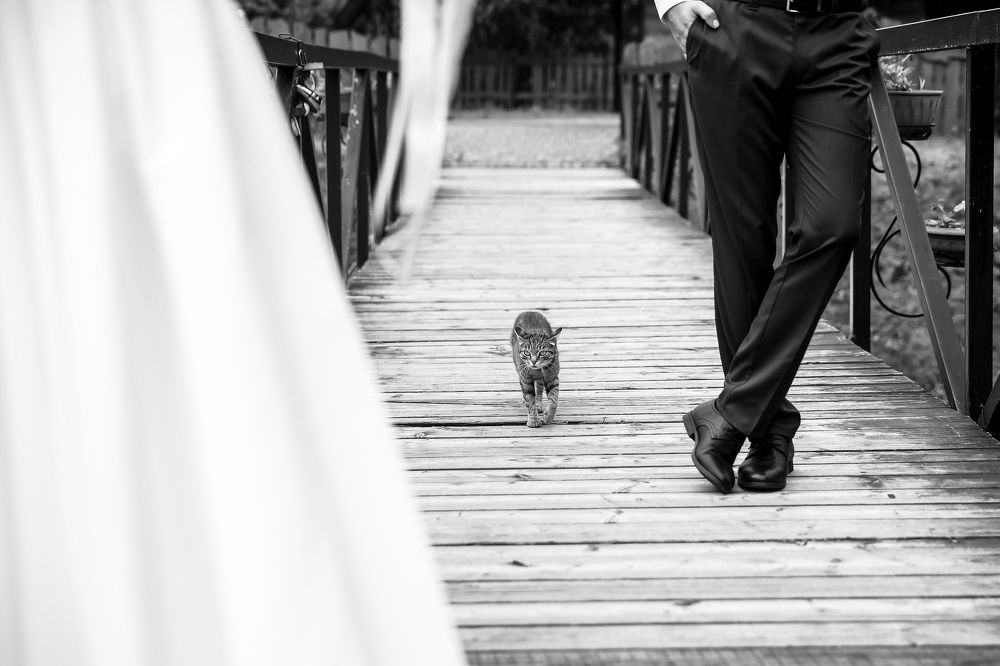 Photograph by Подольная Алена