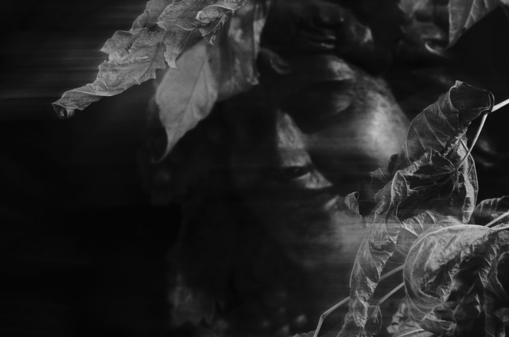 Photograph by Александр Мац