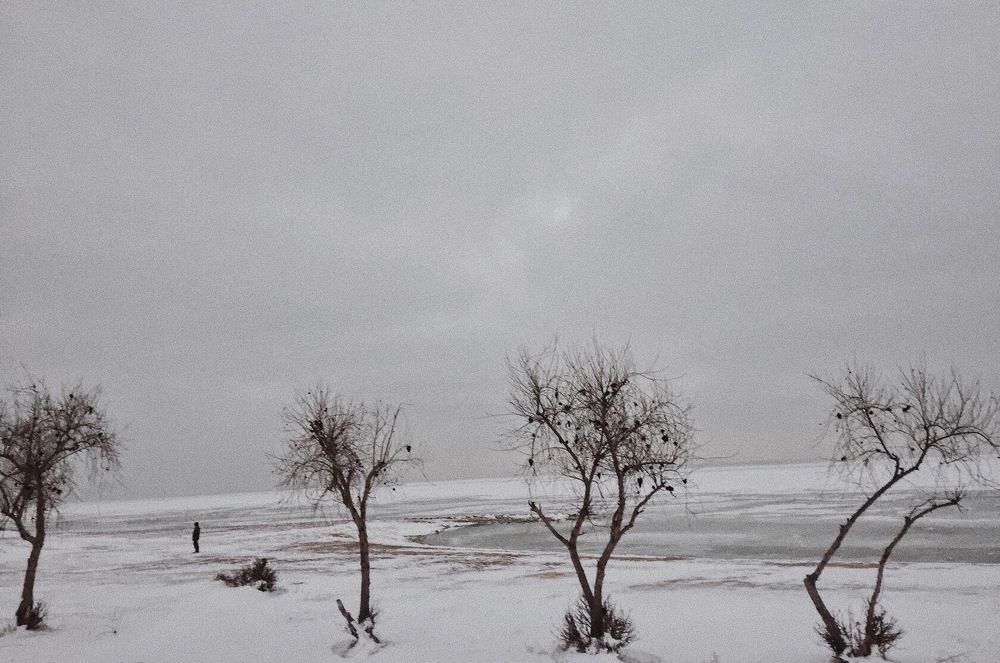 Photograph by Лена Суворова