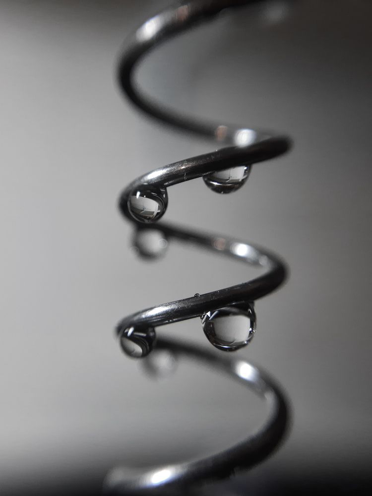 Photograph by Алла Собянина