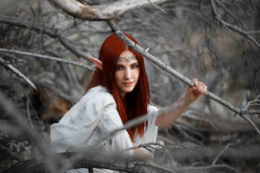 Эльфийская сказка