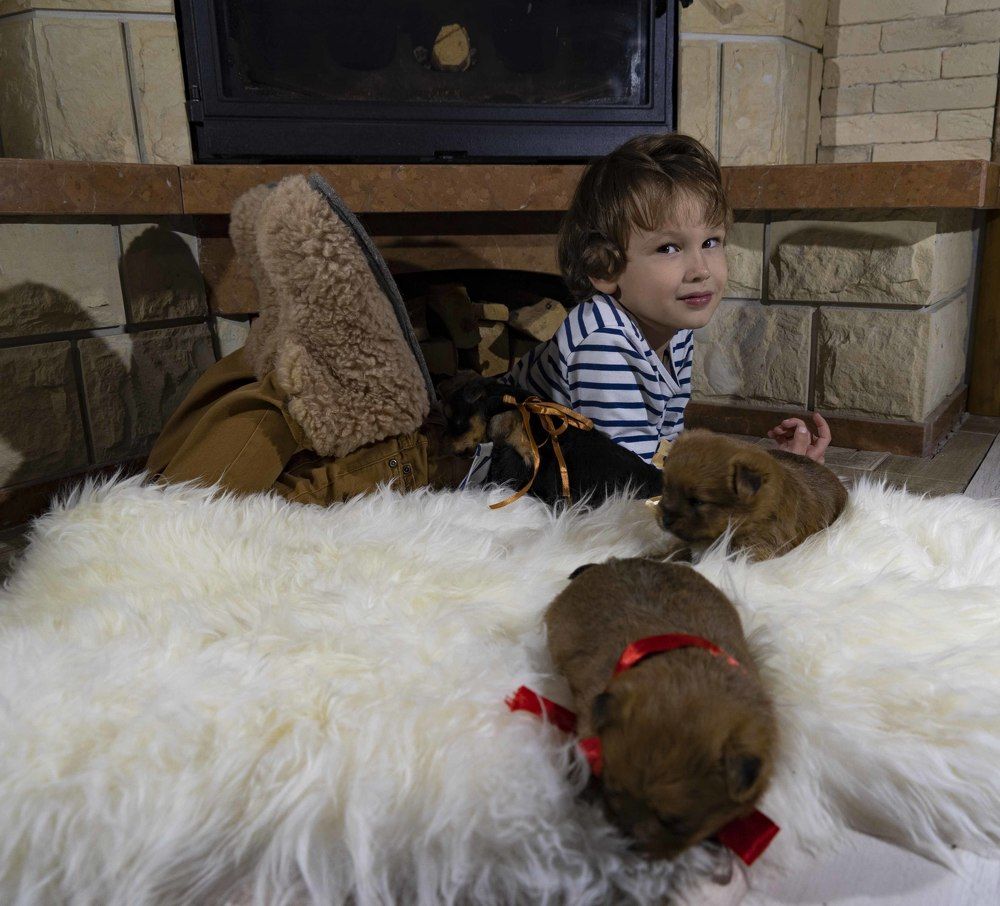 Подарок на рождество