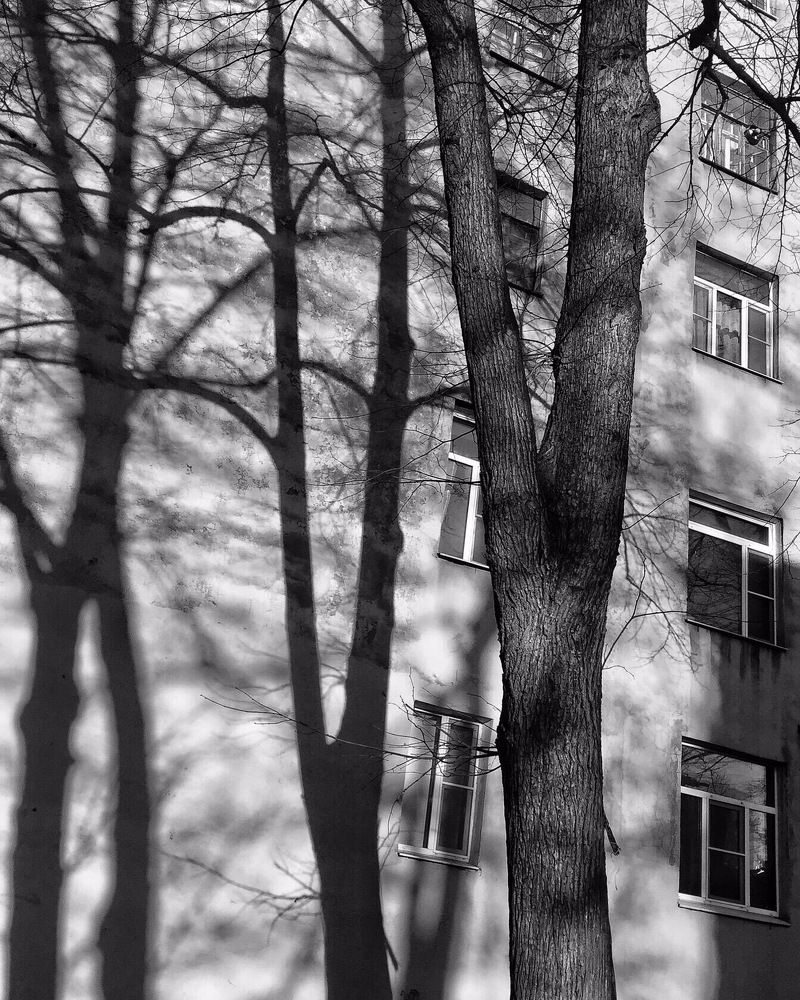 Photograph by Лена Суворова