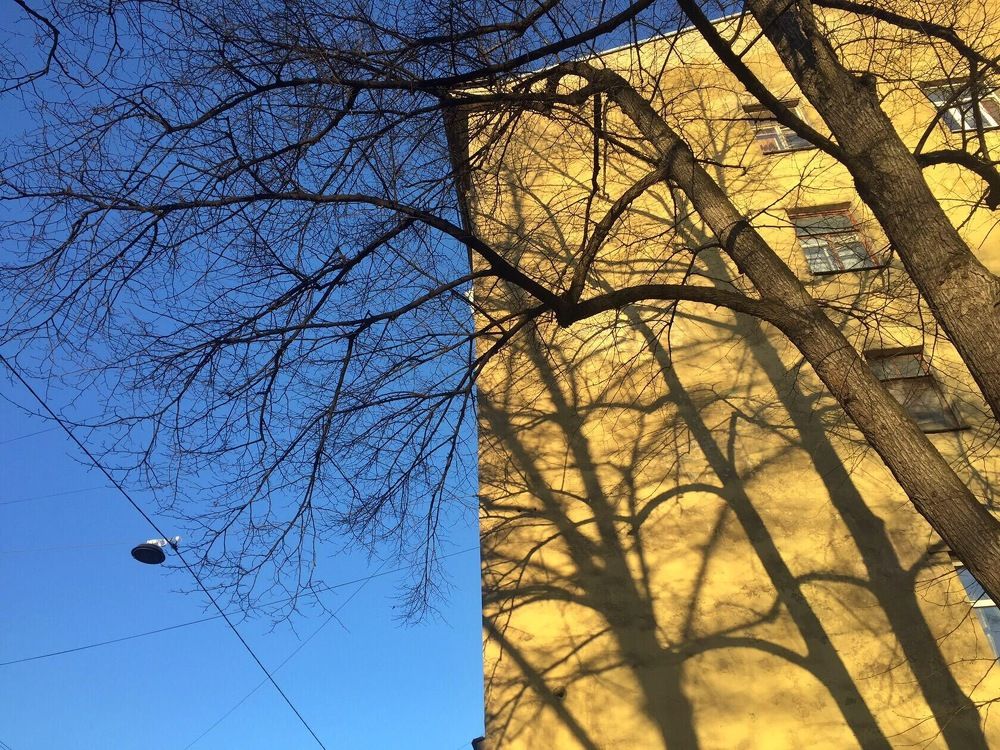 Photograph by Лена Суворова