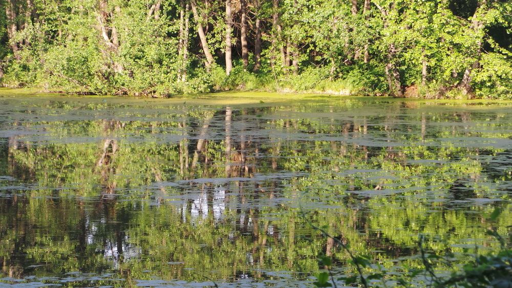 Photograph by Сергей Бухтияров