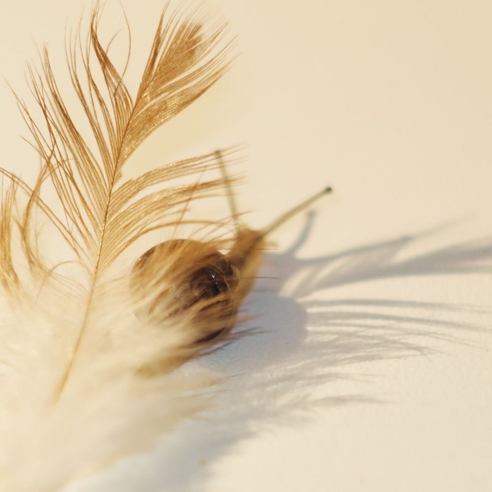 Photograph by Natalija Krucina