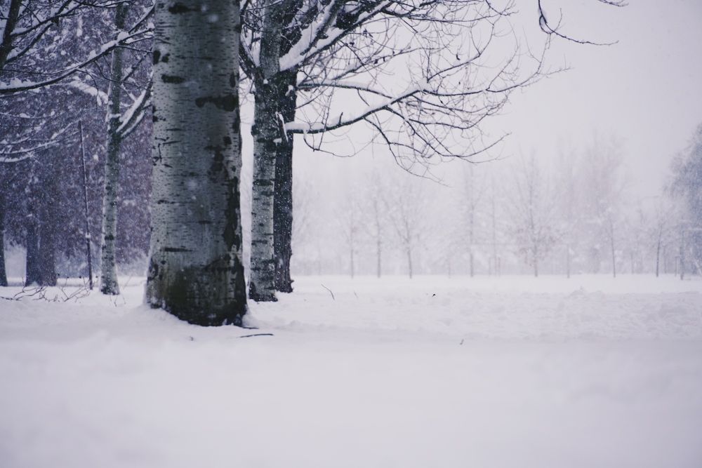 Фотография автора Наталья Князева
