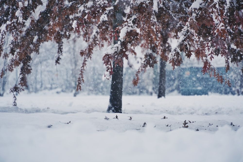 Фотография автора Наталья Князева