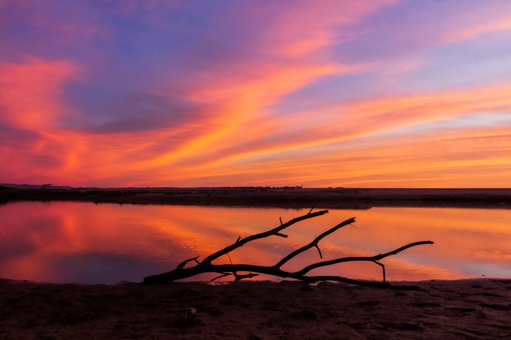 Photograph by Carlos Macias