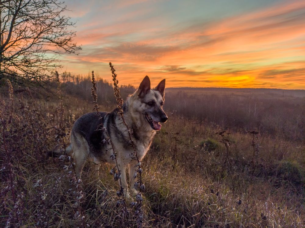 Photograph by Светлана Кондрашова