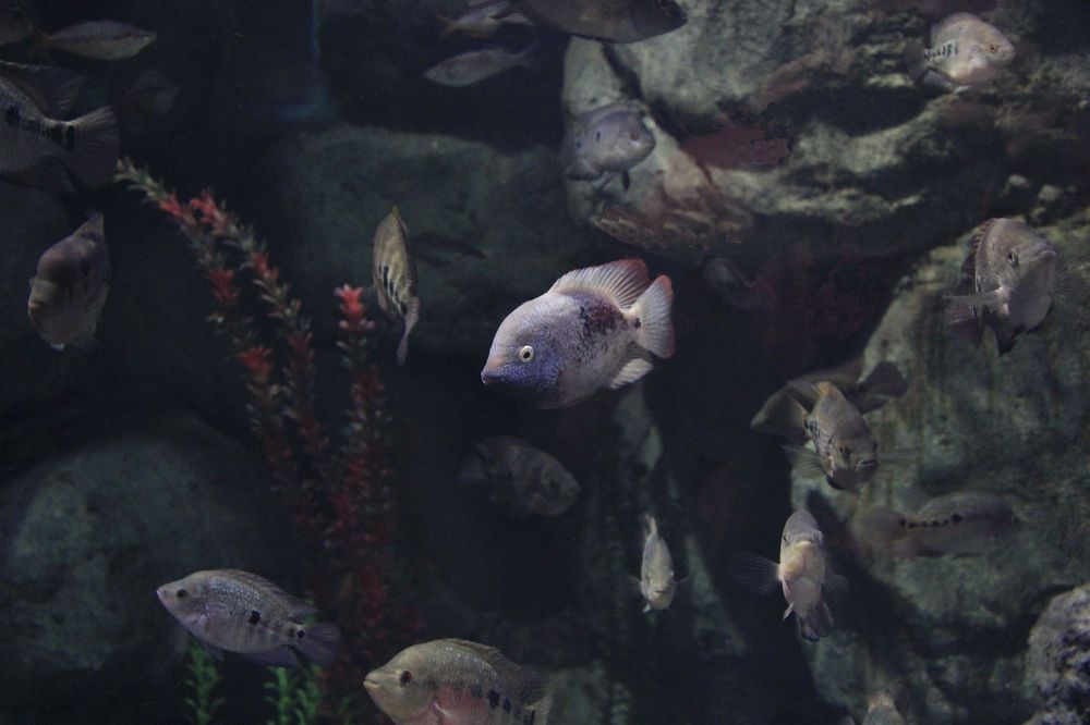 Photograph by Яшин Андрей