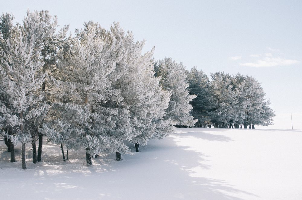 Photograph by Khatia Gelashvili