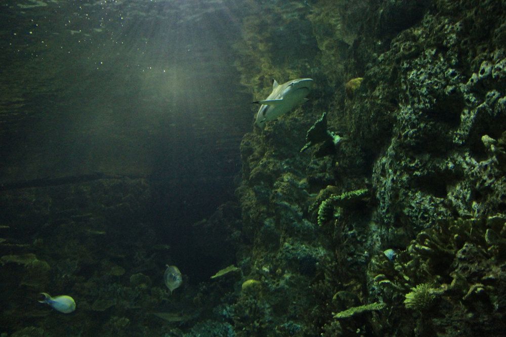 Photograph by Яшин Андрей