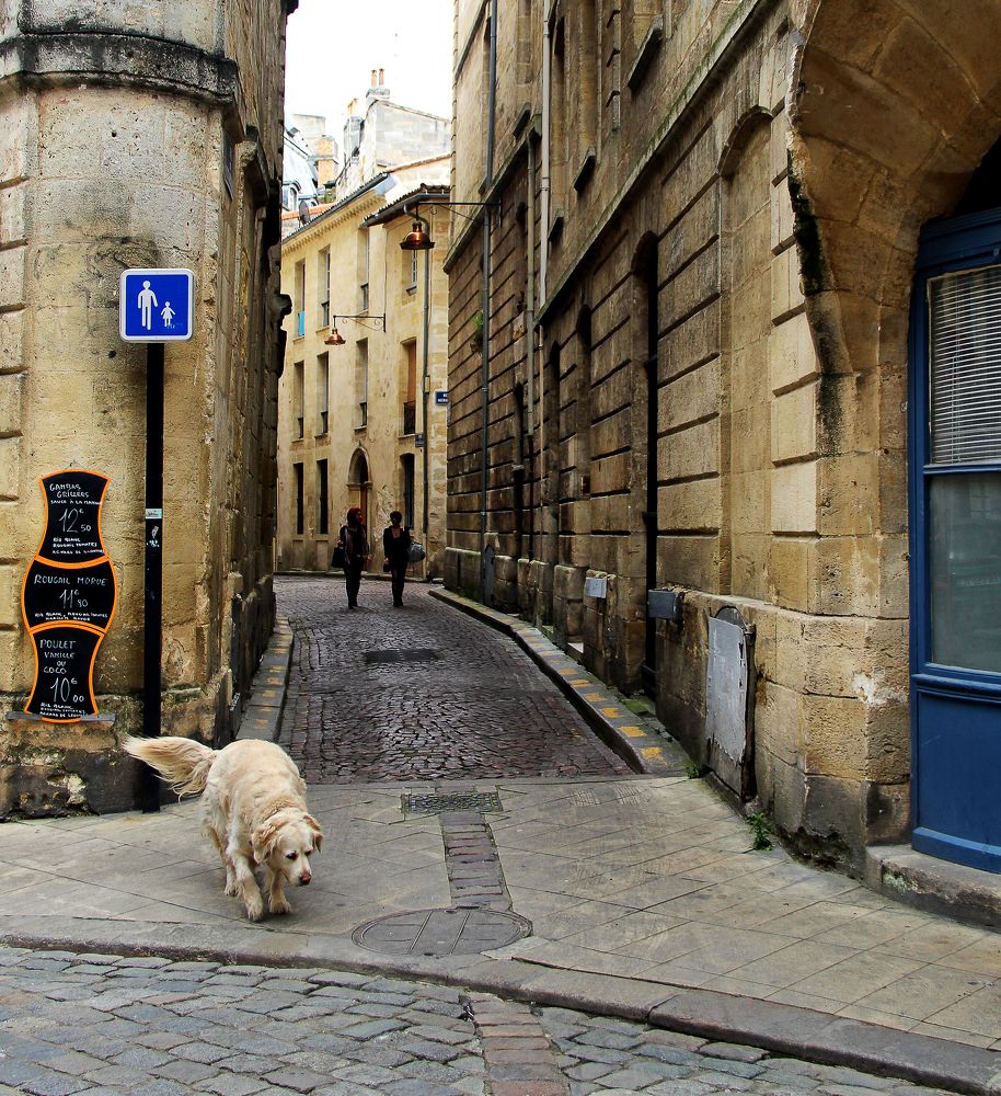 Photograph by Сергей Юрьев