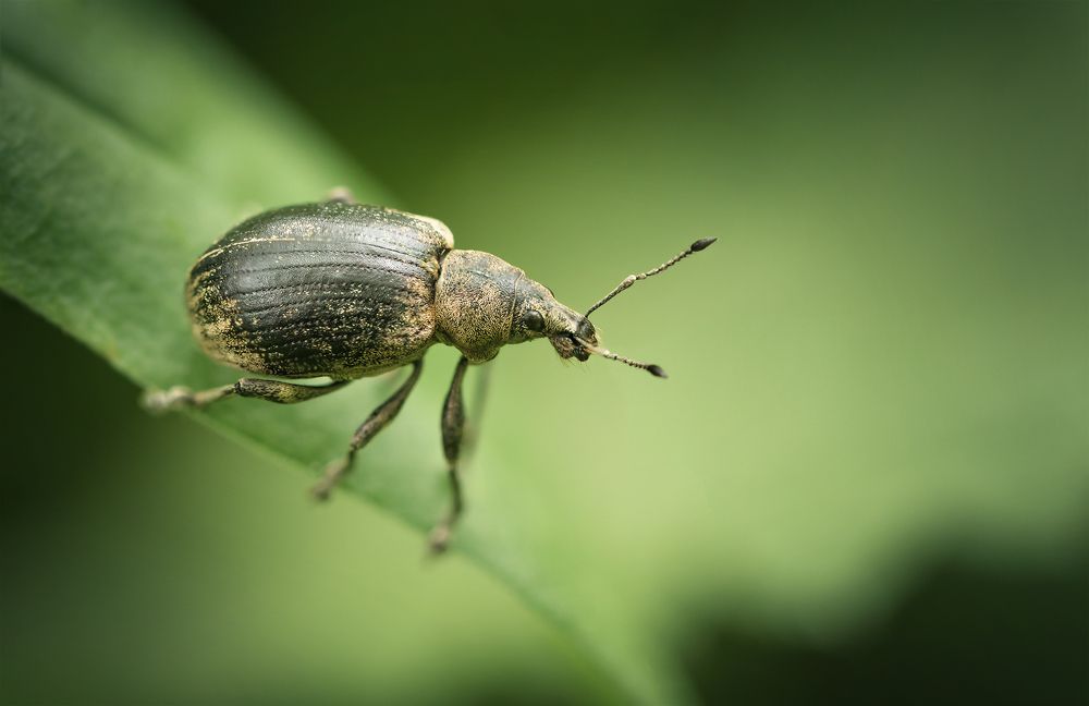 Photograph by Марина Хилько