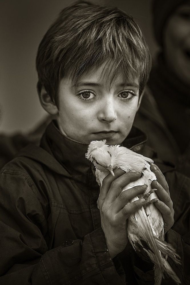 Photograph by Андрей Устинович