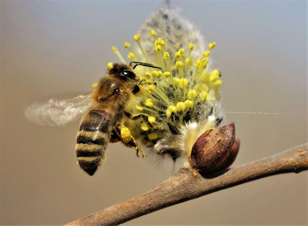 Фотография автора Валентина Гундарева