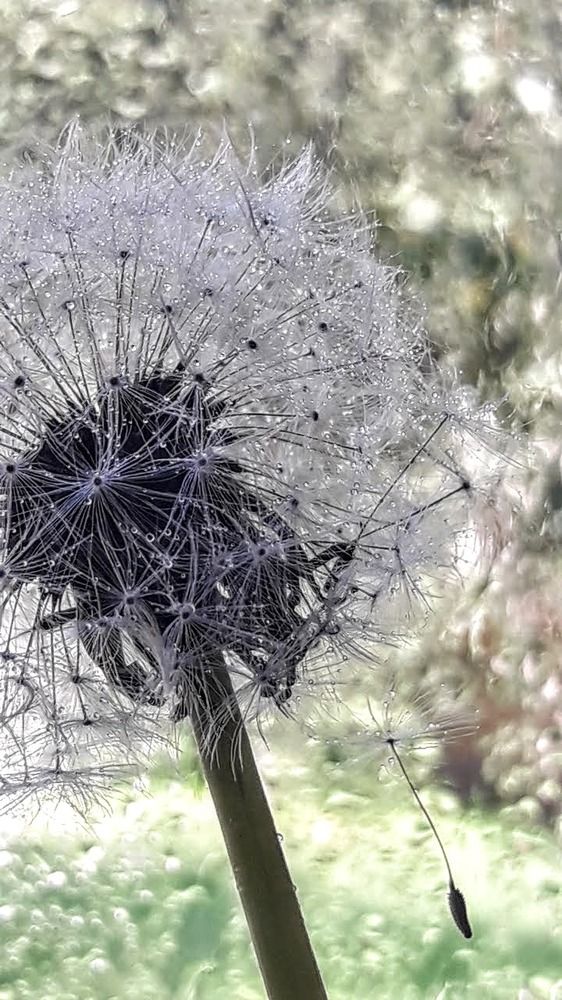 Photograph by Мария Прокопенко