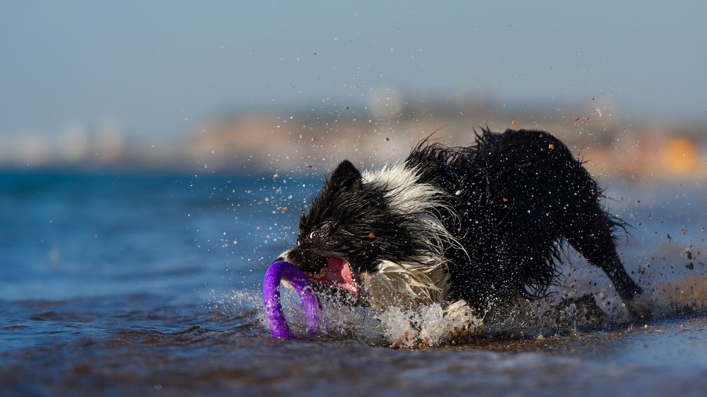 Photograph by Мария Давыдова