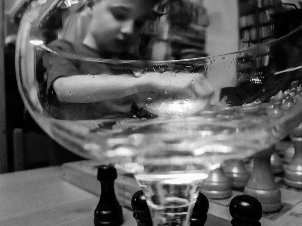 Photograph by Lilit Ghazareh