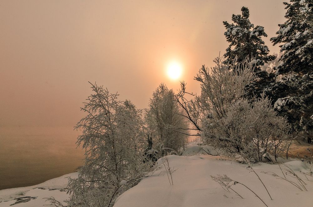 Photograph by Дмитрий Бухтик