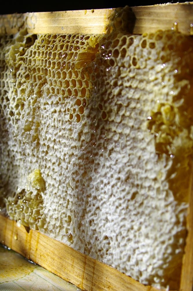 Photograph by Alexandr Bushmelev