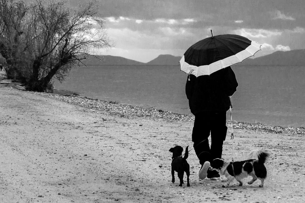 Photograph by antsoulikias