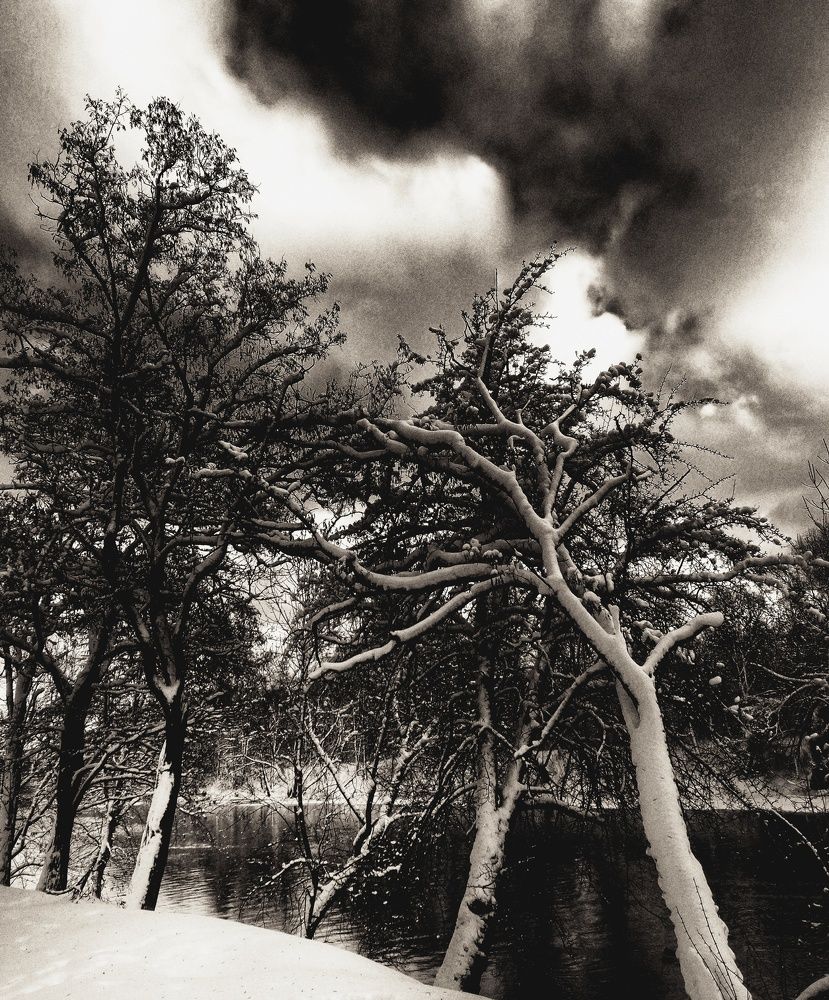 Фотография автора Коломинова Ира