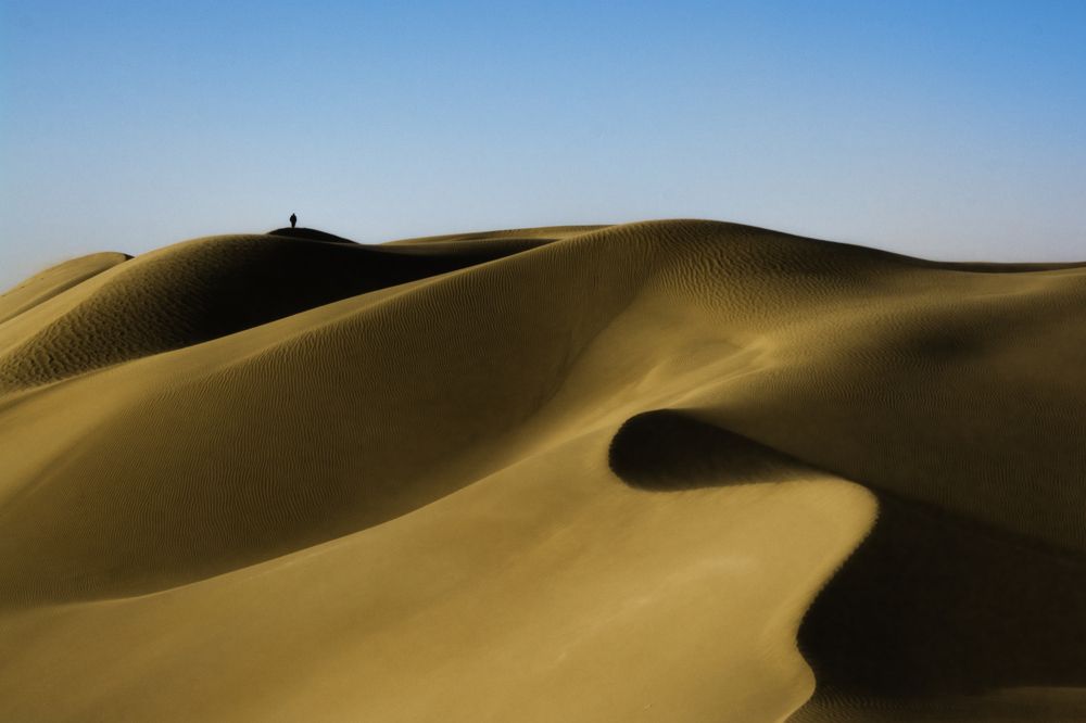 Photograph by Khashayar Laknezhad