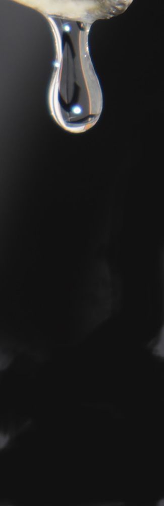 Photograph by Михаил Кулижников