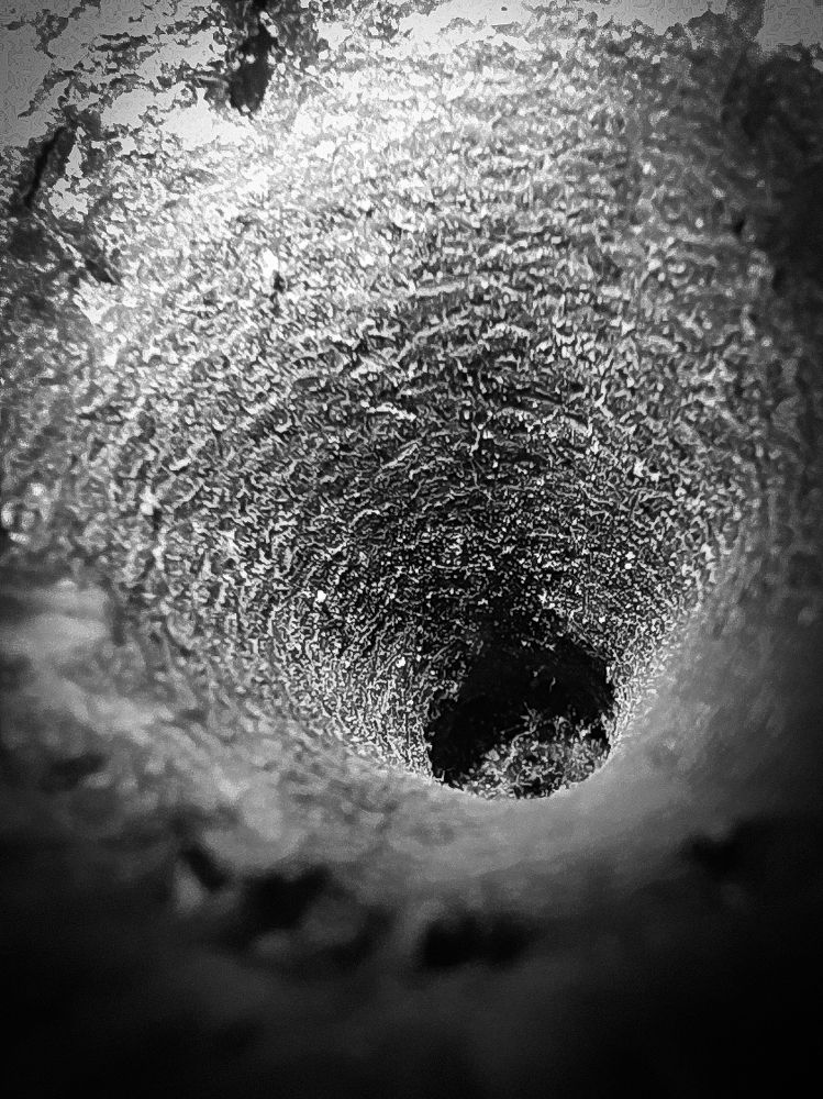 Photograph by Екатерина Зубарева