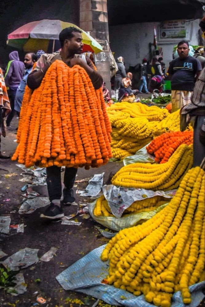 Photograph by Mitali Deb