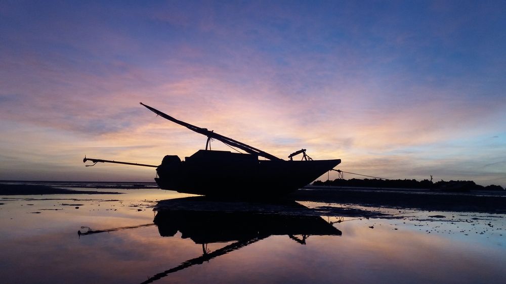 Фотография автора Elpidio Mateus