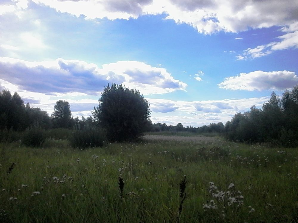 Photo #5615441
