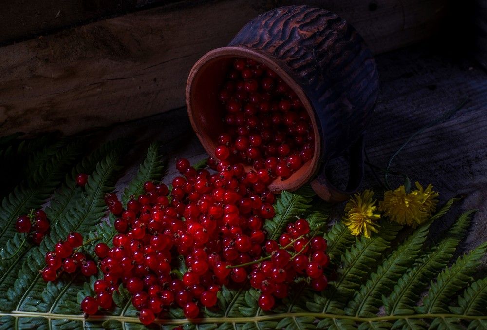 Photograph by Николай Лысцев