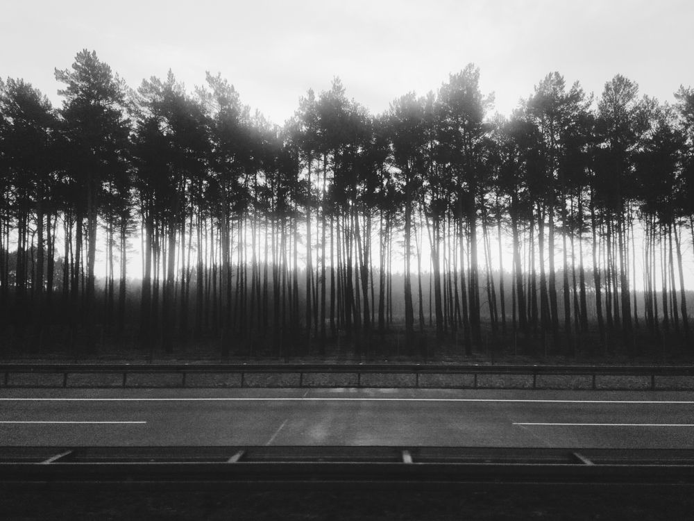 Photograph by Lilit Ghazareh