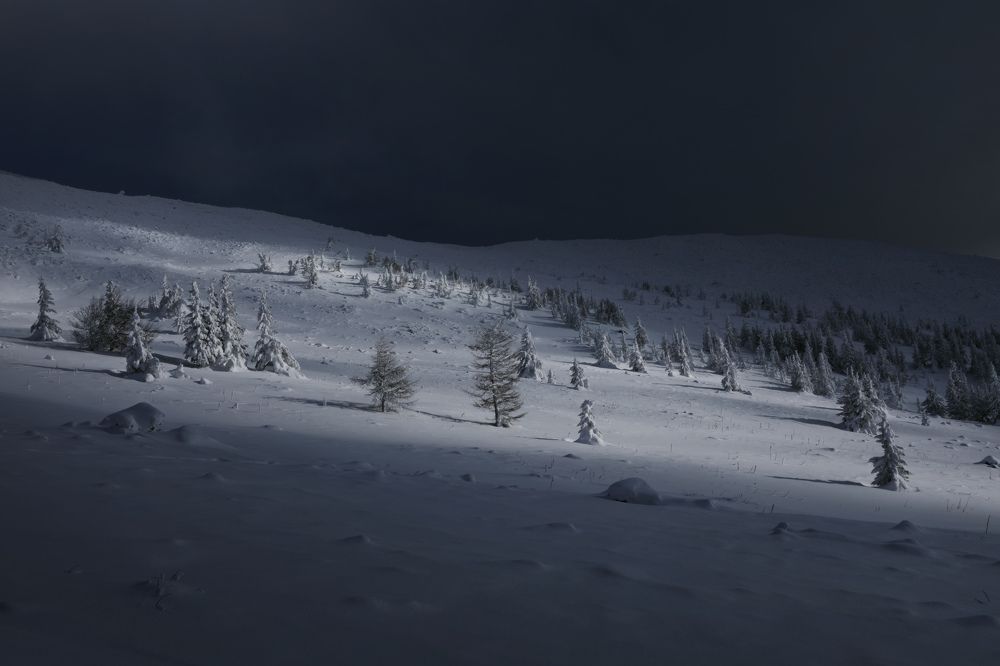 Photograph by Шевченко Николай