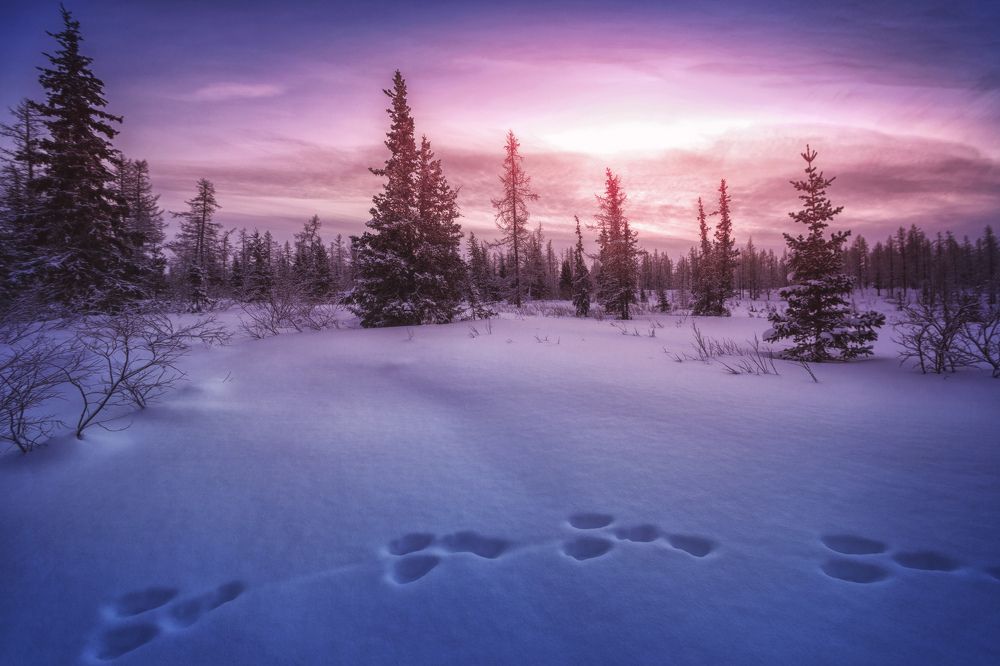 Photograph by Шевченко Николай