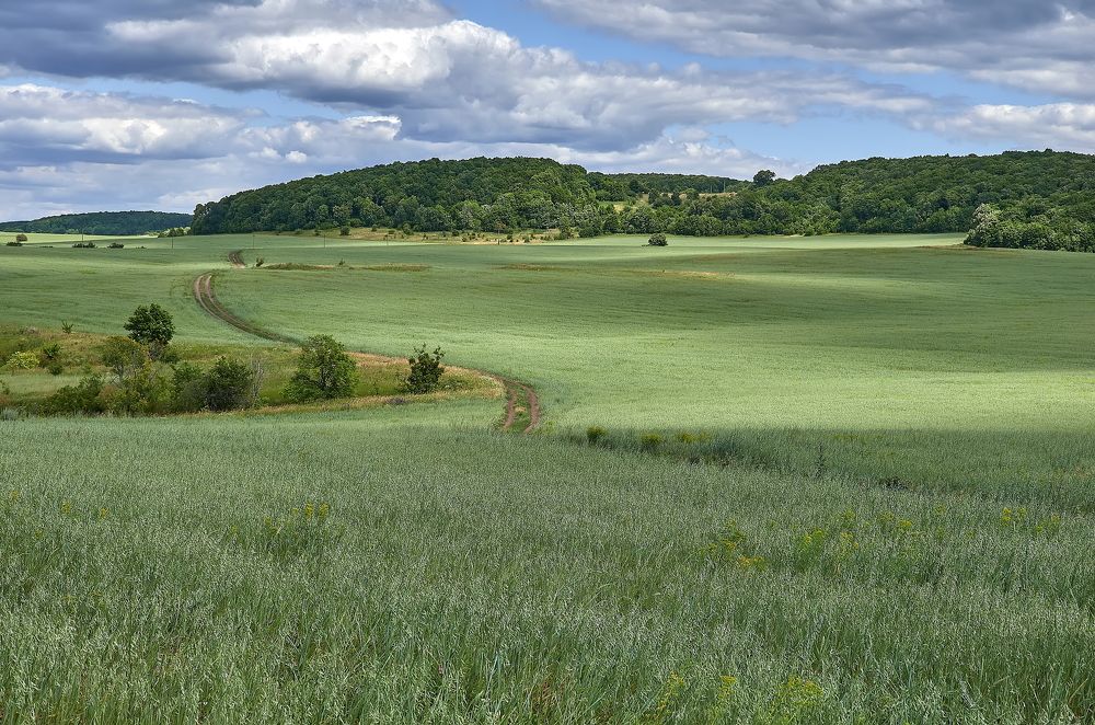 Photograph by Олег Архипов