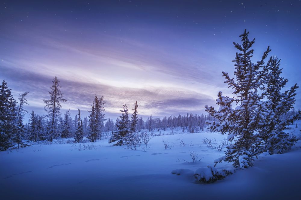 Photograph by Шевченко Николай