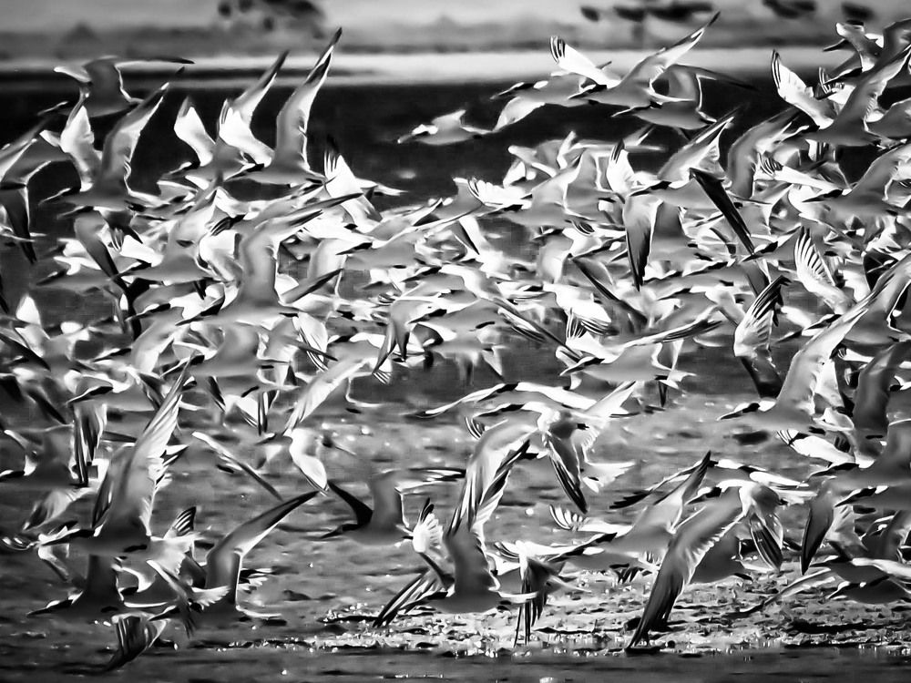 Photograph by Patricia LECCIA