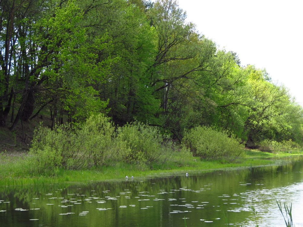 Photograph by Мария Кодун-Иванова