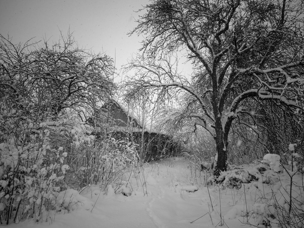 Photograph by Алексей Крукович