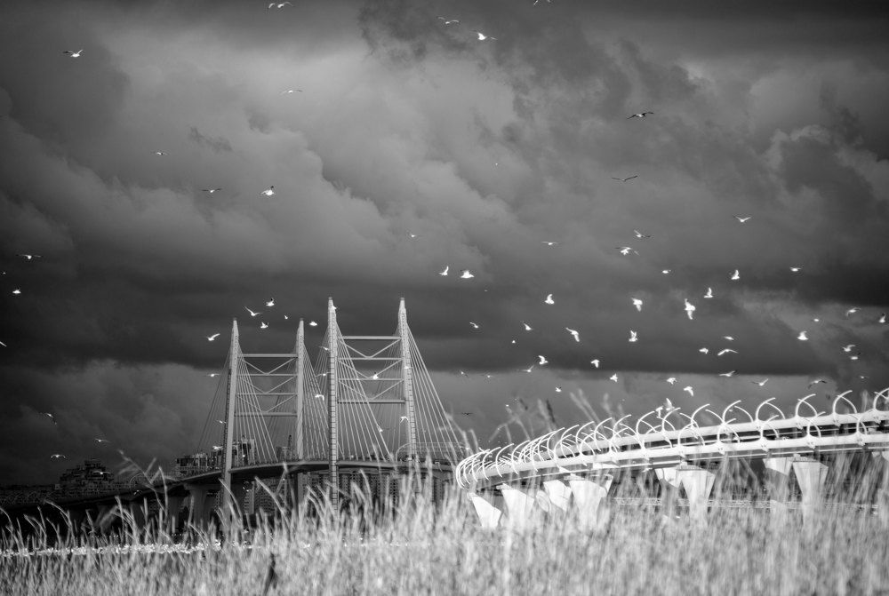 Photograph by Гарифуллин Искандар